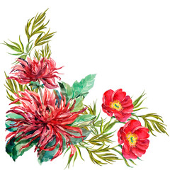 Watercolor red dahlia with peony on white background. Corner illustration.