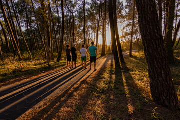 Paseo por Vieux Boucao Landes