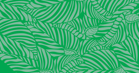 Fototapeta na wymiar leaf line art background vector, wallpaper and print, house plant, Vector illustration.