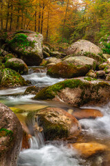 Fototapeta premium River Pesio in Pesio Valley, Natural Park of Marguareis, Cuneo district, Piedmont Maritime Alps (Piemonte). Autumn Italy (Italia). Val Pesio.