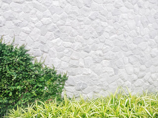 Gray brickwall background with green leaf