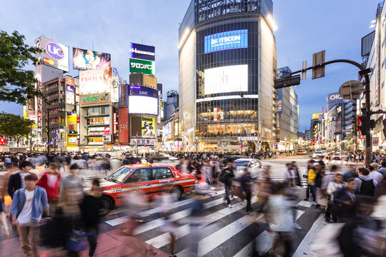 Shibuya Crossing At Night In Tokyo