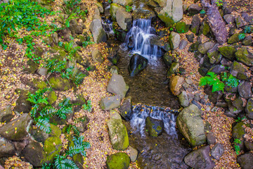 戸越公園の紅葉と小川のイメージ