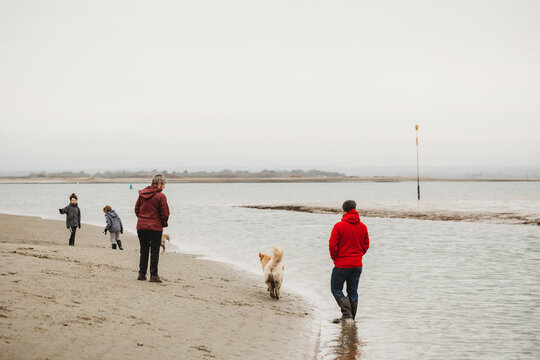 Family walking dogs along shoreline