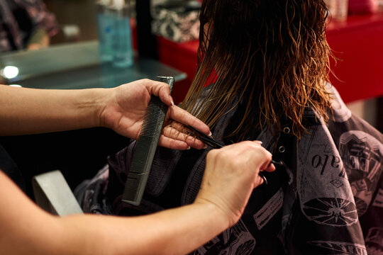 A close-up of a hairdresser cutting client's hair. Small business