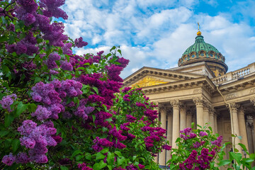 Saint Petersburg city. Russia. Kazan Cathedral. Lilac. Kazan Cathedral in city of St. Petersburg. Traveling to cities of Russia. Dome of the Kazan temple on background of sky. Holidays in Russia