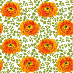 Seamless pattern of Hand-drawn watercolor ranunculus with foliage on white. Orange flower with yellow middle with green leaves. Sketch of bright Persian or Chinese or Asian Buttercup with black line
