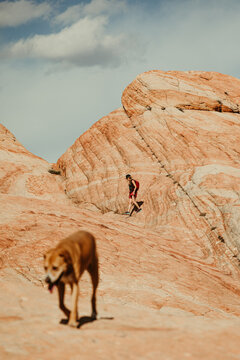female hiker in focus with dog in foreground in red rocks desert