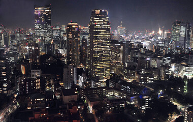 Fototapeta na wymiar Magnificent panorama of night city from the high tower. Impressive highlight of the big city. Tokyo, Japan.