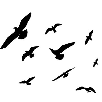 folk of flying bird silhouette. Vector illustration.