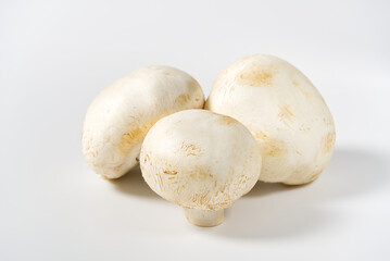 Fresh champignon mushrooms macro shoot. Close-up white sliced champignon.
