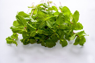 Fototapeta premium Bunch of Mint fresh leaves best green and natural spice