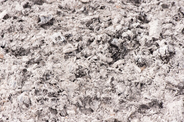 Obraz premium ash close-up. ash texture. space for advertising. the background