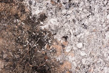 ash close-up. ash texture. space for advertising. the background