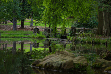 Bridge Over a Pond