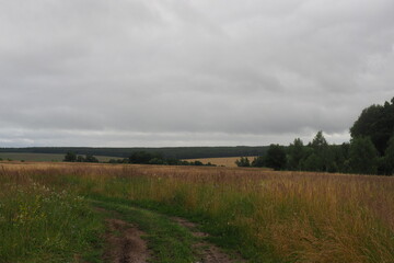 Obraz premium OLYMPUS DIGITAL CAMERA