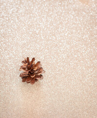 Fototapeta na wymiar Pine cone on a glitter background