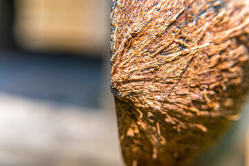 Close-up macro of half coconut