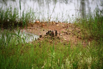 Flood situation