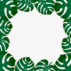 Vector illustration background with tropical leaves,frame with monstera palm leaves.summer background.