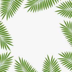 Naklejka na ściany i meble Vector illustration background with tropical leaves, frame from leaves of palm tree,summer background.Graphics element. 
