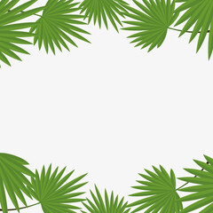 Naklejka na ściany i meble Vector illustration tropical leaves background.Exotic design,summer background. 
