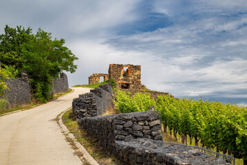 Ruins of a building in the vineyard countryside