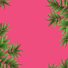 Fototapeta na wymiar Bright branches of green leaves on a pink background can be used for a postcard, business card