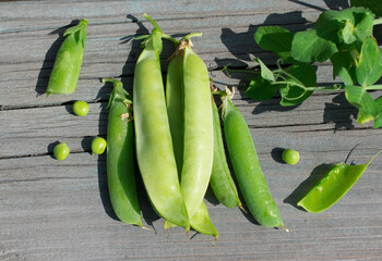 green peas on a wooden background
