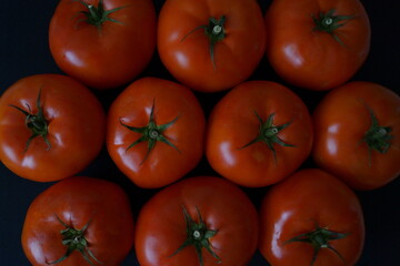 Tomates rojos grandes y sabrosos