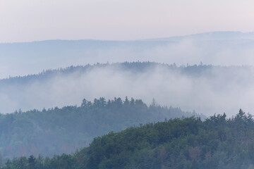 Panoramic view to forest,  silhouette with misty fog. Czech landscape