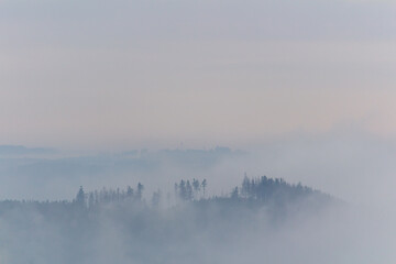 Panoramic view to forest and trees silhouette with misty fog. Czech landscape