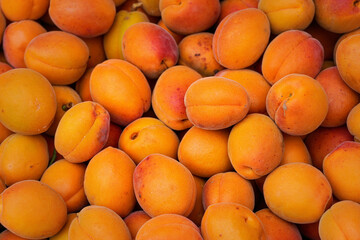 Heap of apricots on display at food market, closeup from above
