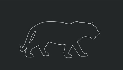 Tiger vector line contour illustration isolated on black background. Big wild cat. Siberian tiger or Bengal tiger. 