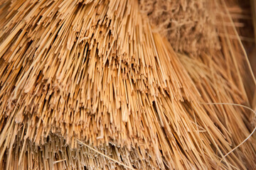 Abstract in dried straw
