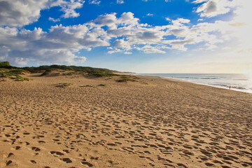 Polihale State Park sand dunes on the beach in kauai hawaii