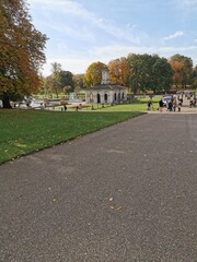 autumn in the park