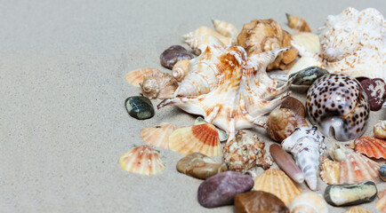 Seashells, sea stars, coral and stones on the sand, summer beach sea background travel concept.