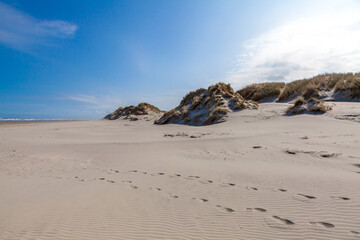 Fototapeta na wymiar Beach, dunes and sea at Ameland