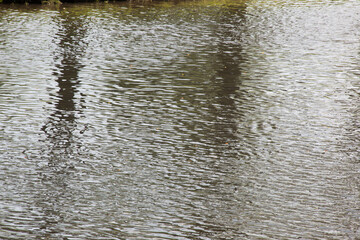 San Francisco Capital in Black and White