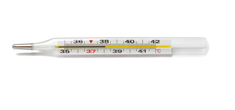 Clinical thermometer isolated on white background.