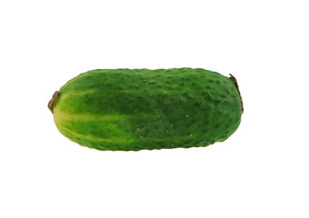 cucumber isolated on white background green vegetable