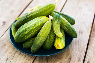 fresh cucumbers on a wooden table