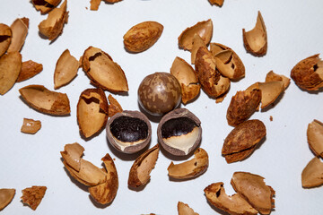 Macadamia shells and almonds that were thrown away on a white background