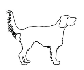 Portrait of Golden Retriever vector line contour illustration isolated on white. Beware of dog. Friendly family dog. Labrador retriever graphic.