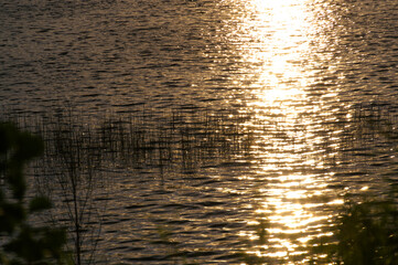 Sun's Reflection on Water