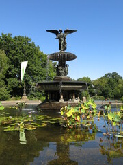 Bethesda Fountain Plaza - Central Park, New York City.
