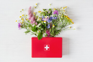 Fresh medical herbs in red first aid kit. Alternative medicine concept.