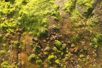 Guaraú beach, Peruibe, Sao Paulo, Brazil