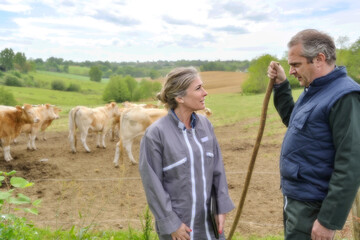 Farmer couple discussing in a field beside theirs cows